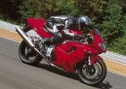 Triumph Daytona 955i Triumph Daytona 955i